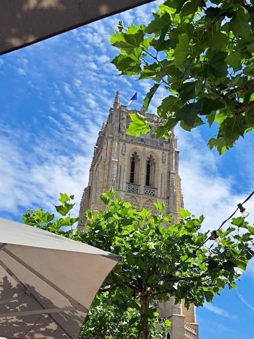 Location de vacances pour 12 personnes, avec terrasse et sauna à Tongres - 4