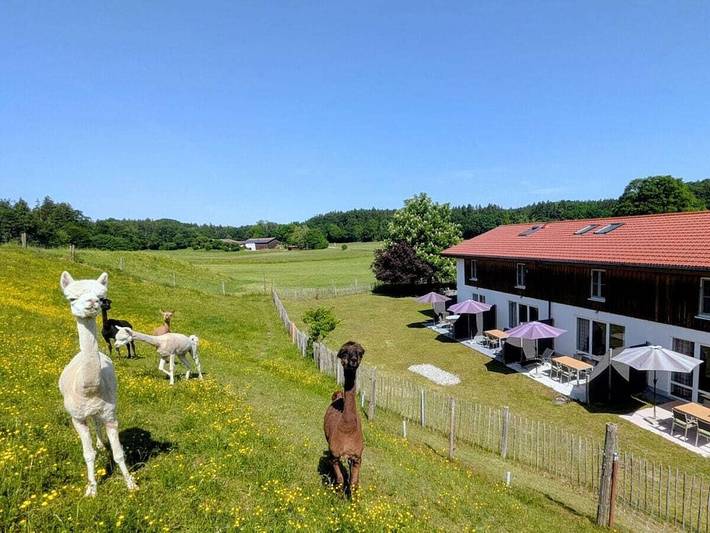 Ferienwohnung mit 1 Schlafzimmer in Weßling, Landkreis Starnberg