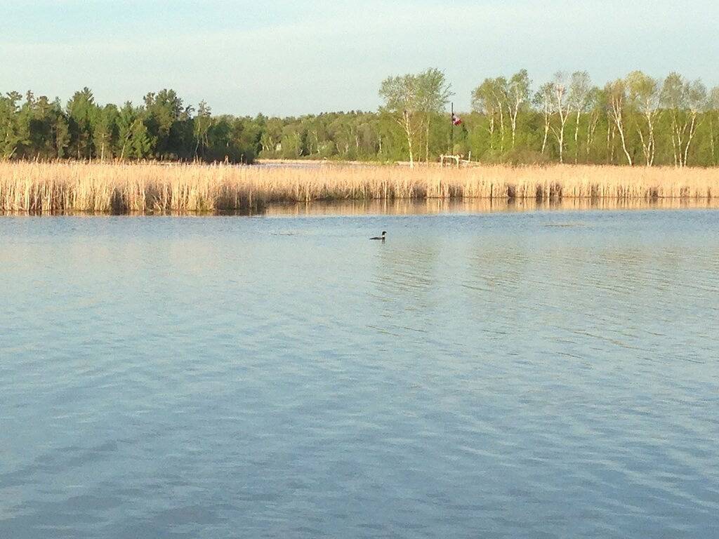 Pelican Lake - Breezy Point Stadthaus in Breezy Point, Crow Wing County