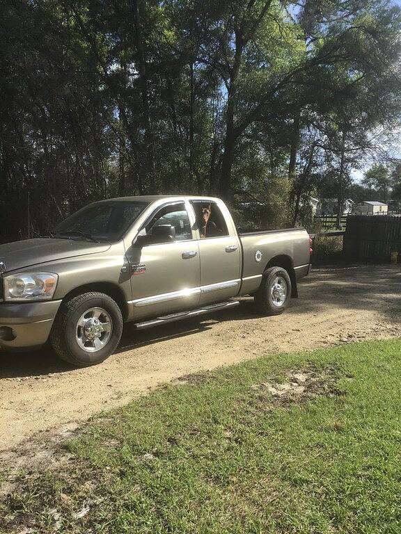 Log cabin ,ocklawaha fl, close to ocala villages pet friendly ,lake Weir in Marion County (FL)