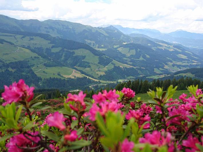 Ferienwohnung für 2 Personen, mit Garten und Balkon, kinderfreundlich in Wildschönau - 3