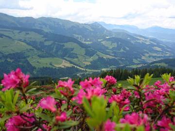Ferienwohnung für 2 Personen in Wildschönau, Tiroler Unterland, Bild 2