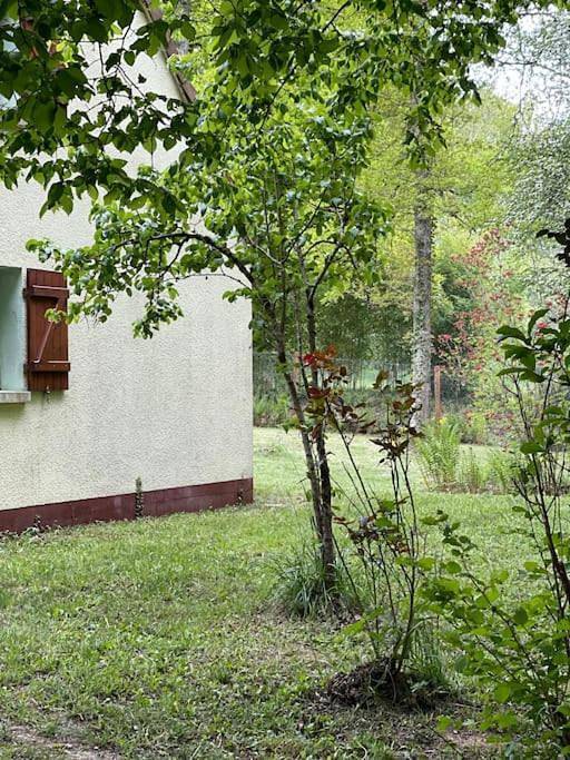 Location de vacances pour 6 personnes, avec terrasse ainsi que jardin et vue, adapté aux familles à Moutiers-en-Puisaye - 3