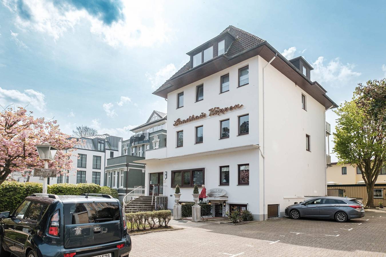 Seepferdchen, foto 12