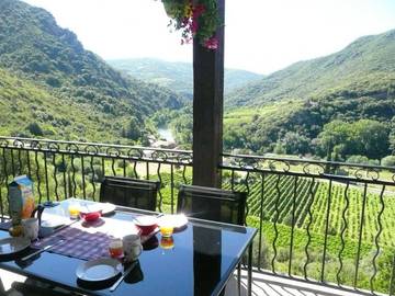 Gîte pour 8 personnes, avec terrasse à Vieussan
