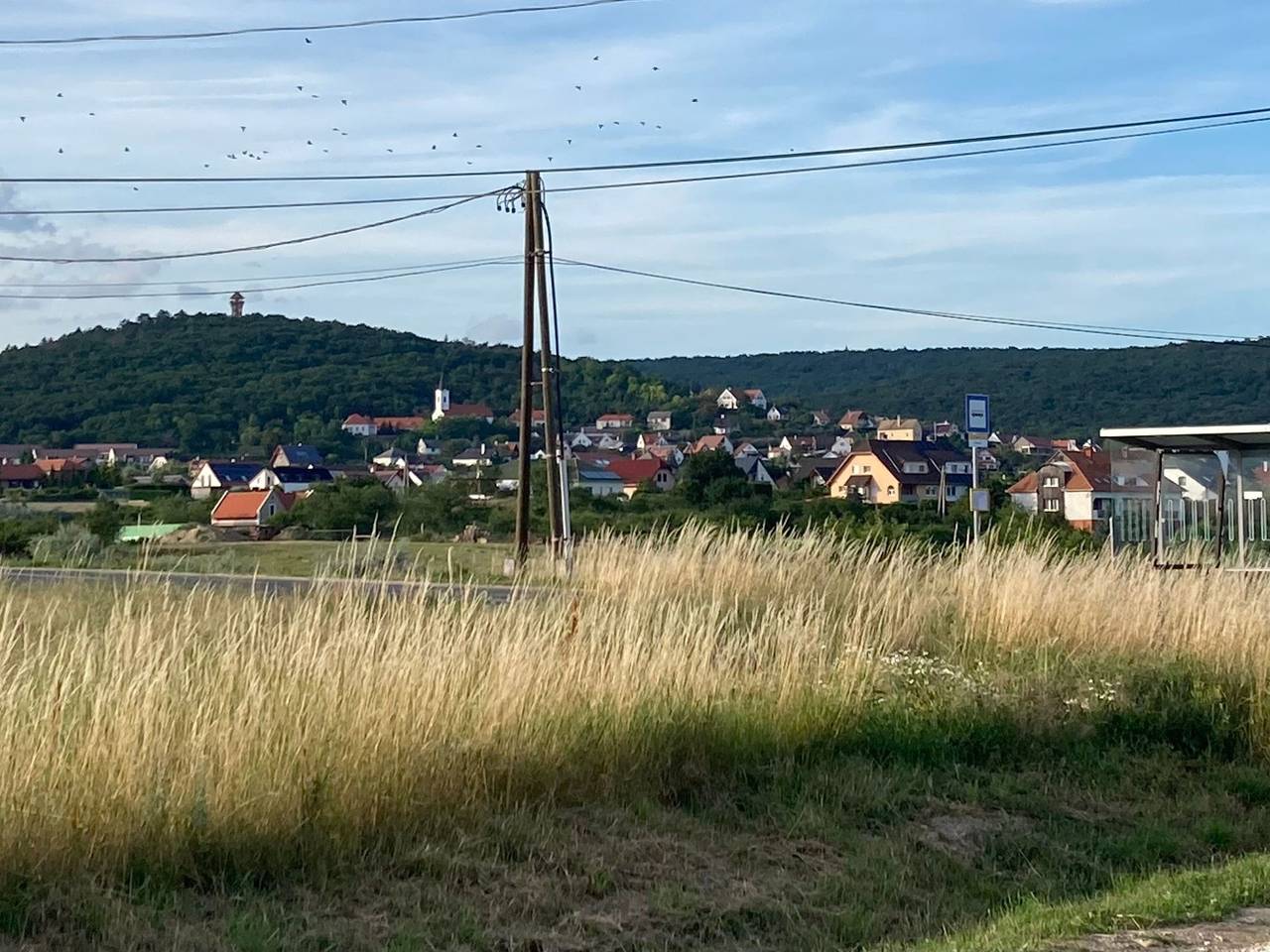 Ancsi in Alsóörs, Balatonfüredi járás