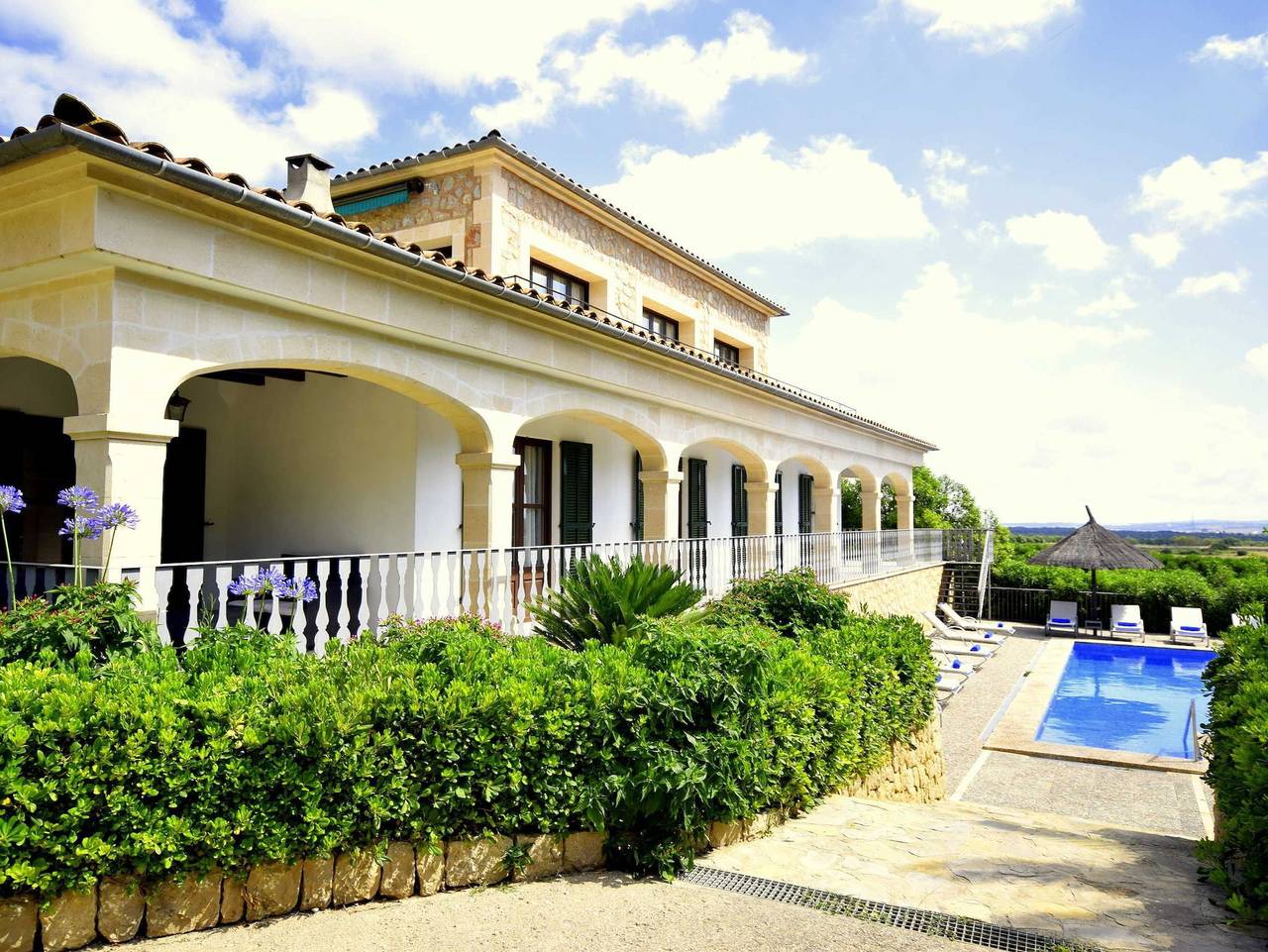 44201 Sa Pleta - 44201  Sa Pleta in Petra (Mallorca), Mallorca Inselmitte