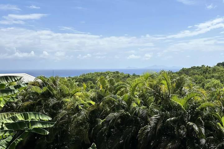 Mobil home pour 4 personnes, avec jardin ainsi que vue et piscine dans Marie-Galante - 3