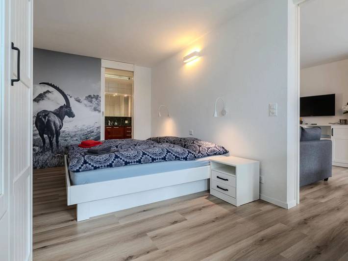 Apartamento entero, 2 estancias 3 Personas in Arosa (Grisones), Plessur alps