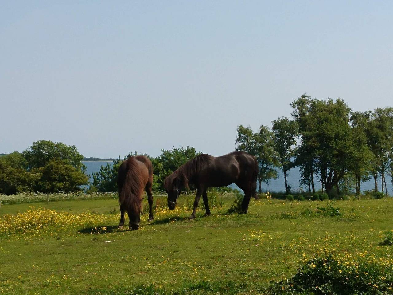 12 Personen Ferienhaus in Aabenraa-By Traum in Loddenhøj, Apenrade