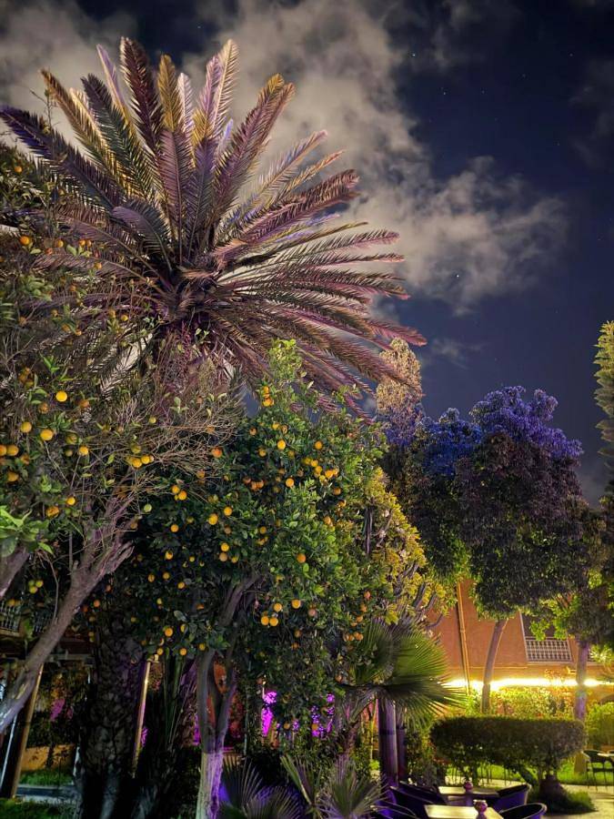 Hôtel pour 2 personnes, avec piscine et jardin ainsi que vue et terrasse, animaux acceptés à Tiznit - 2