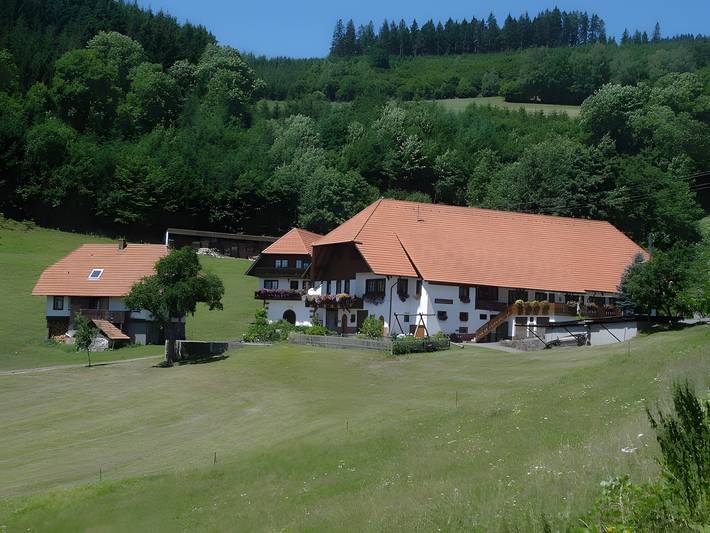 Ganze Wohnung, Ferienwohnung 'Nr 2' mit Gemeinschaftsterrasse, Gemeinschaftsgarten und Wi-Fi in Hausach, Mittlerer Schwarzwald
