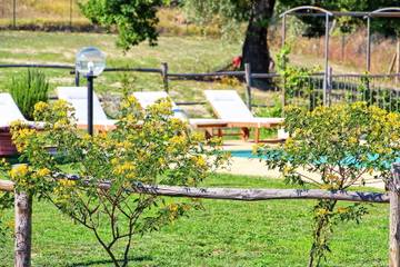 Casa Vacanza per 7 Persone in Civita, Bagnoregio, Foto 3