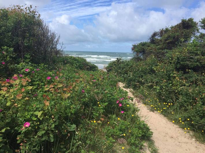 Ferienhaus für 10 Personen, mit Whirlpool und Sauna sowie Terrasse und Pool, kinderfreundlich in Aalbæk - 2