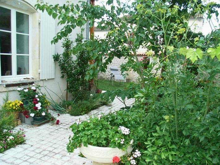 Chambre d’hôte pour 4 personnes, avec jardin, animaux acceptés en Charente - 4