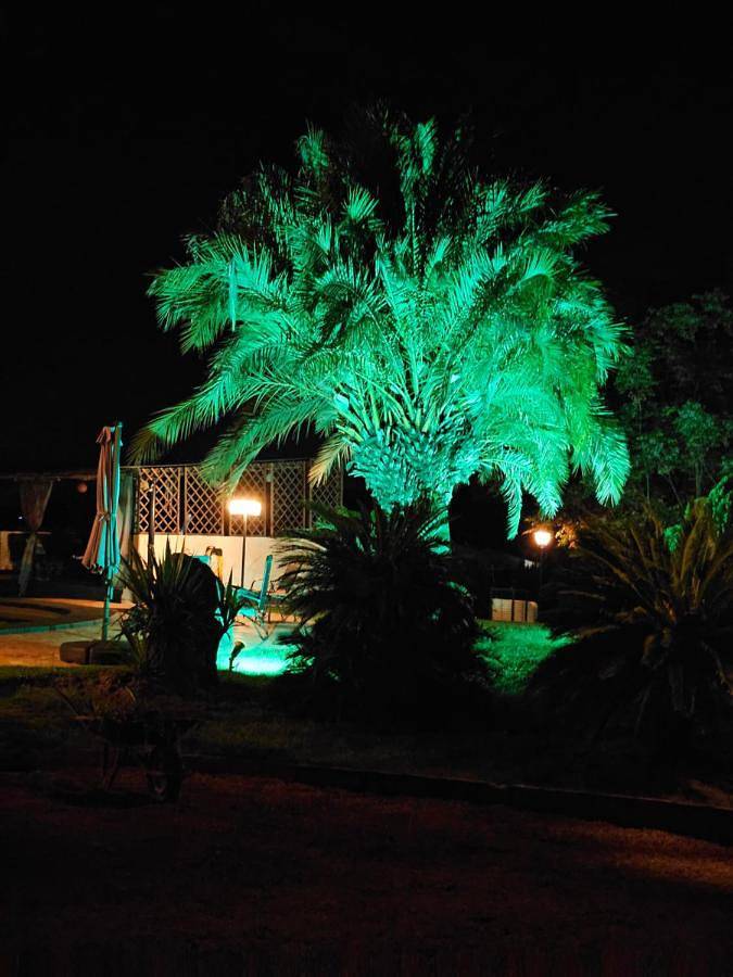 Chalet para 3 personas, con Balcón y Jacuzzi además de Terraza y Jardín en Vall D'albaida - 4