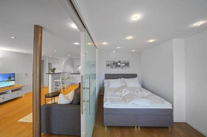 Ganze Wohnung, Book2stay: Lakefront Apt w/Balcony, near Harbor & Station in Romanshorn, Obersee (Bodensee)