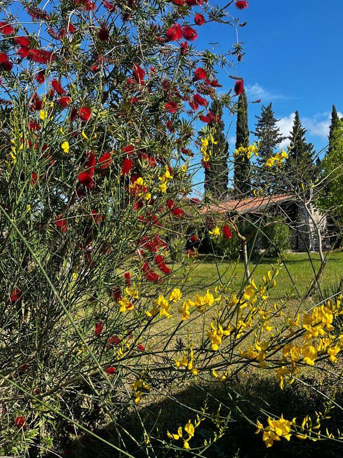 Apartment - Ground Floor in Castellabate, Cilento Coast