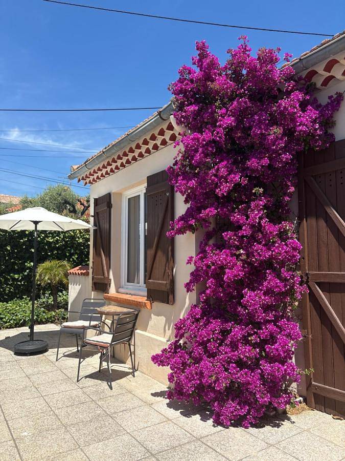 Pitch Provence B&B in Ollioules, Côte méditerranéenne (France)