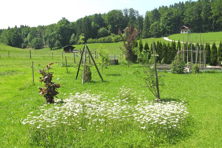 Ganze Ferienwohnung, Ferienwohnungen Wanderparadies - Ferienwohnung Paradies 39 qm, sep. Schlafzimmer, Erdgeschoss, separater Eingang in Aschau im Chiemgau, Chiemsee