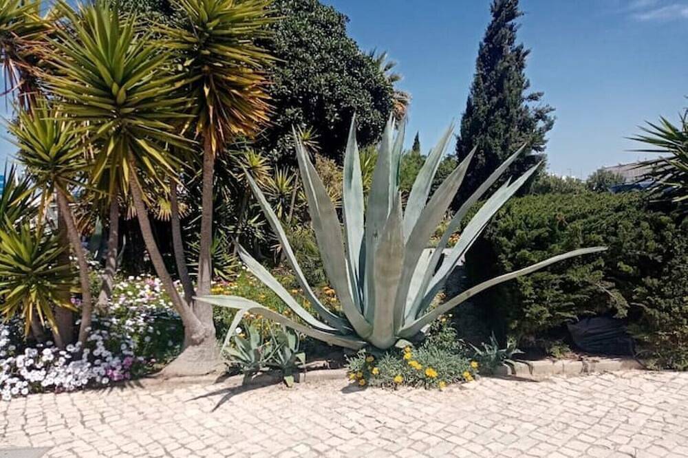 Ganze Wohnung, Meia Praia- The Little Gem Apartment in Meia Praia, Faro Distrikt