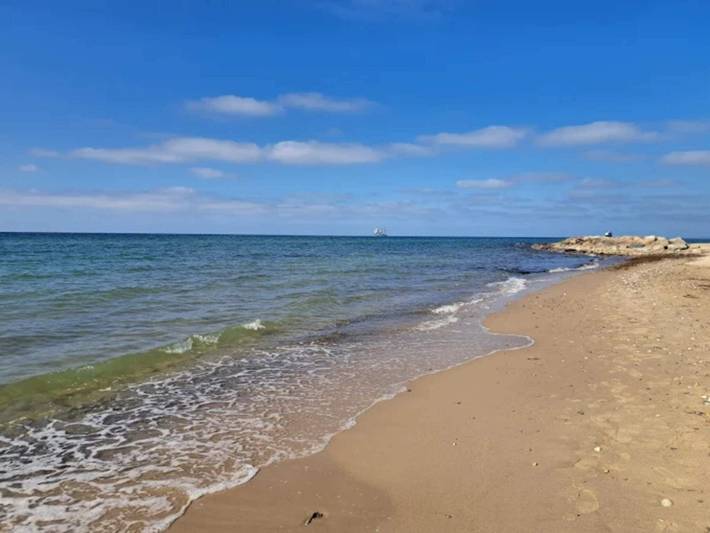 Ferienhaus für 10 Personen, mit Terrasse und Pool sowie Garten, kinderfreundlich in Tisvilde - 3