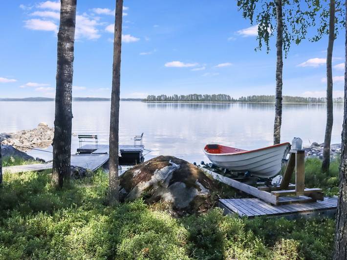 Villa vulpe in Hattusaari, Pielinen