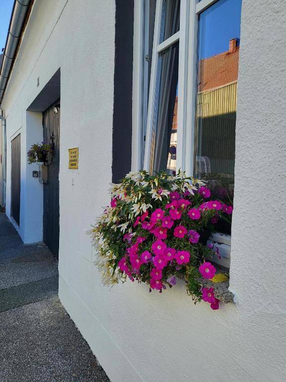 Ferienhaus für 9 Personen, mit Terrasse und Garten