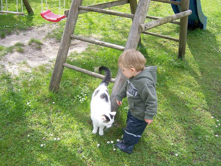 Bauernhof für 4 Personen, mit Garten, kinderfreundlich in Bischofswiesen - 4