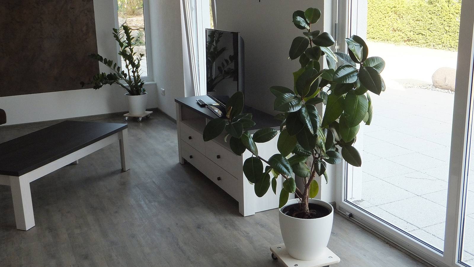 Ganze Wohnung, Ferienwohnung 'Seerevier' mit Privatterrasse und Wi-Fi in Überlingen, Region Bodensee-Oberschwaben