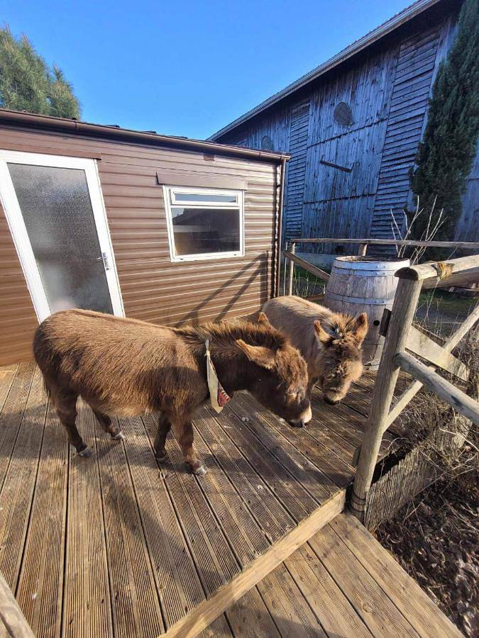 Camping pour 4 personnes, avec Terrasse ainsi que Jardin et Piscine