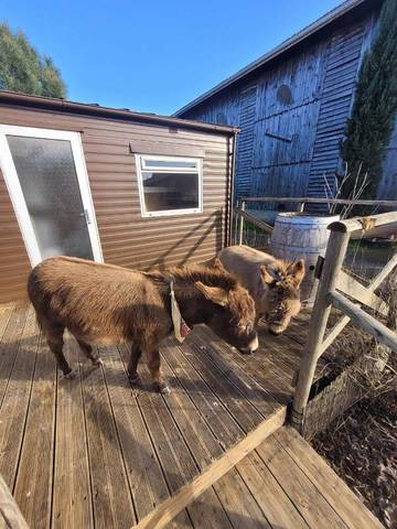 Gîte pour 4 personnes, avec jardin ainsi que piscine et terrasse à Bouglon