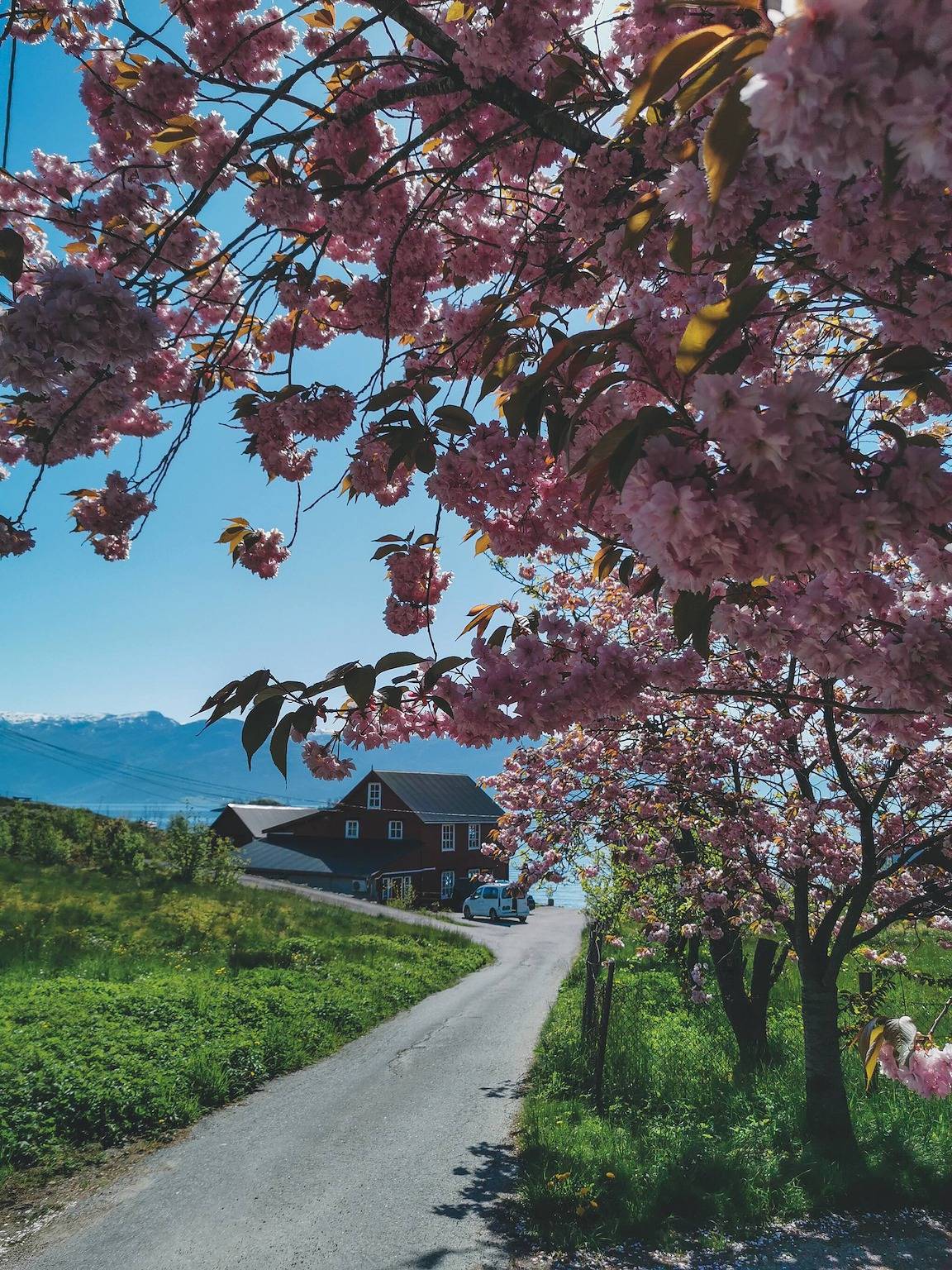 Fjordside Bootshaus Hardanger in Kvam herad