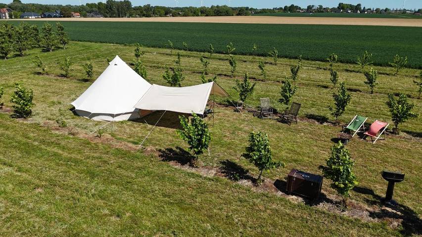 Gîte pour 3 personnes, avec vue, animaux acceptés à Hannut - 4