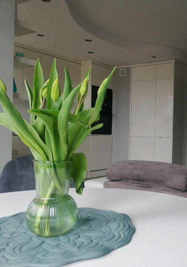 Ferienwohnung für 4 Personen, mit Seeblick und Ausblick sowie Terrasse, mit Haustier