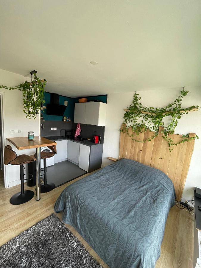 Appartement entier, One-Bedroom Apartment in Erstein, Région de Sélestat-Erstein