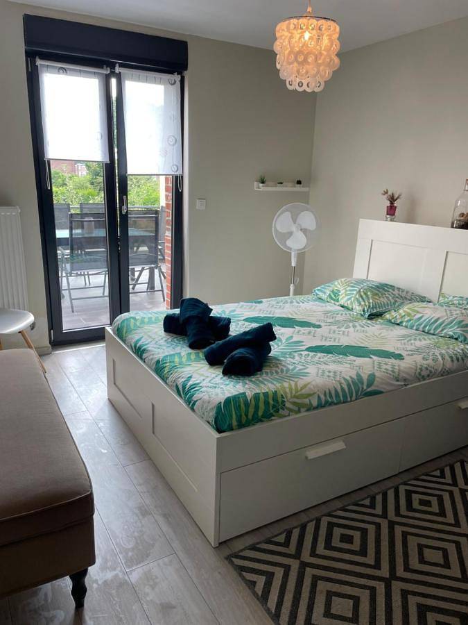 Chambre d’hôte pour 3 personnes, avec terrasse à Villeneuve-d'Ascq - 2