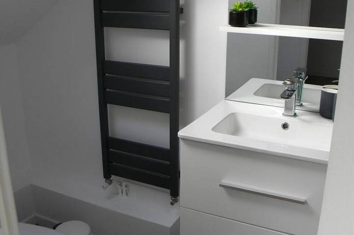 Entire apartment, Flat Lille (4) - Near Centre and Metro in Lille, Lille region