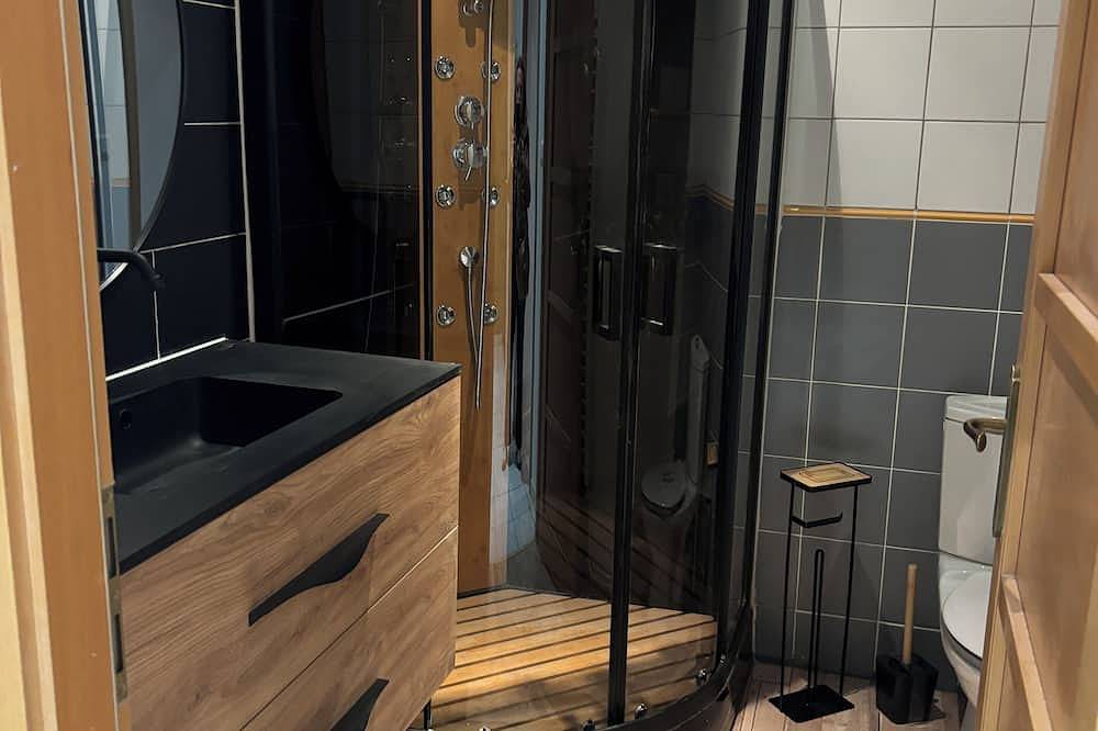 Entire apartment, Place de l'Âtre: exceptional view of the basilica in Épinal, Épinal region