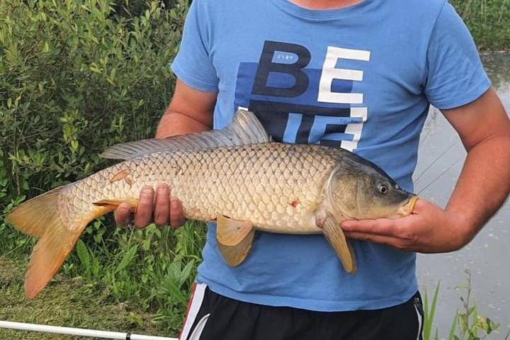 Gîte pour 2 personnes, avec jardin et terrasse ainsi que vue et vue sur le lac à Saint-Georges-de-Gréhaigne - 3