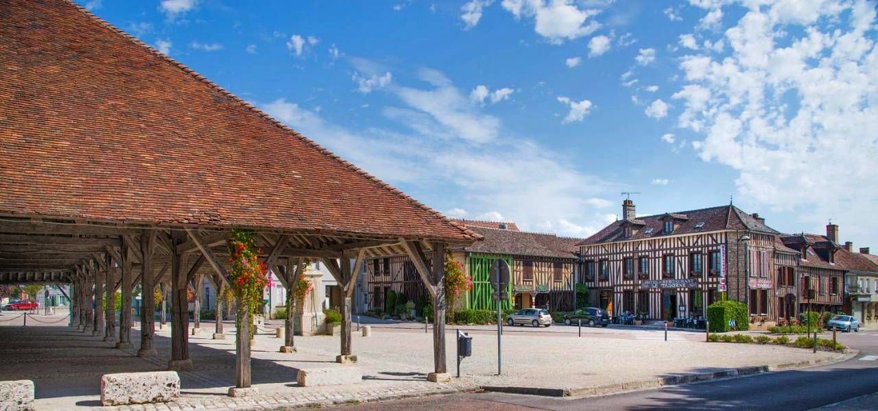 Logis Le Tadorne in Piney, Parc naturel régional de la Forêt d'Orient