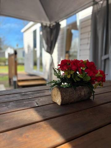 Camping pour 4 personnes, avec piscine et jardin à Saint-Pierre-d'Oléron