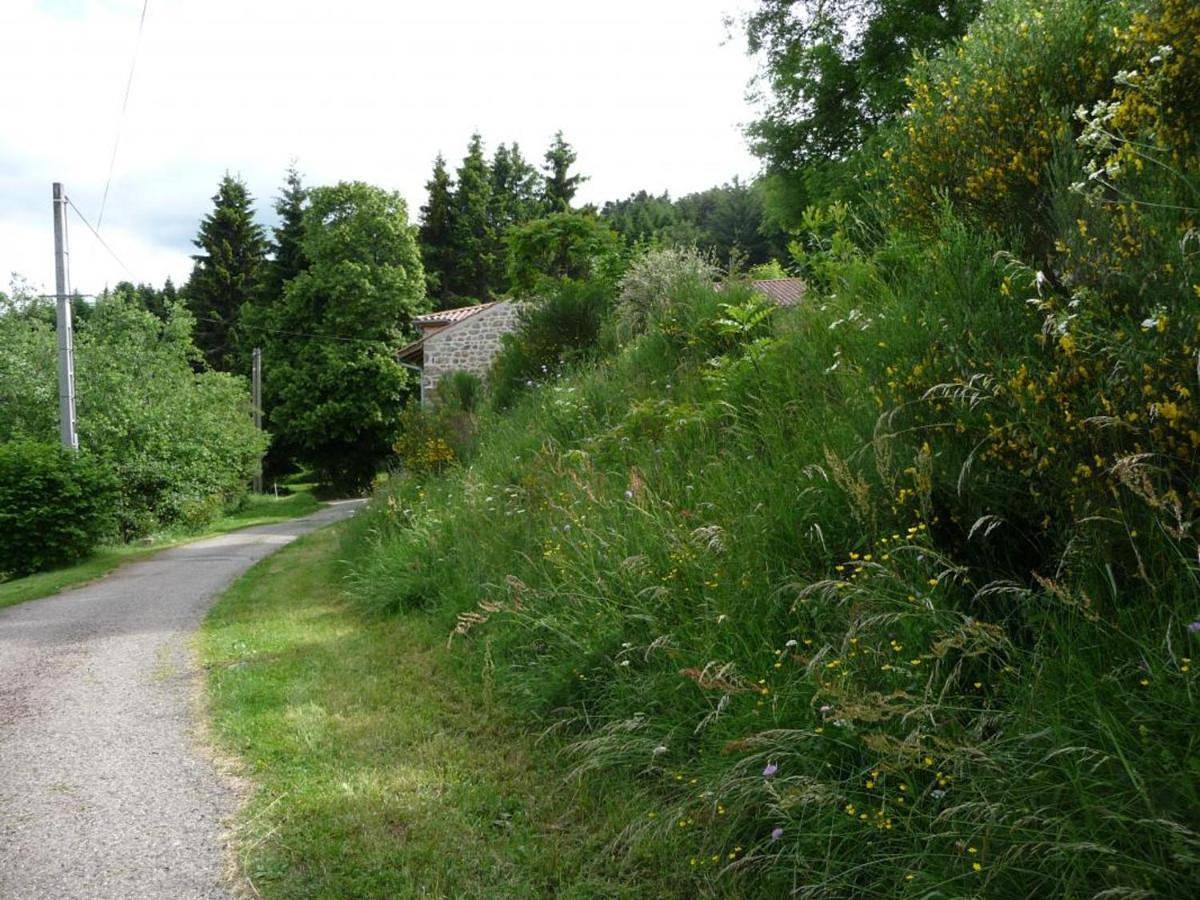 Demeure Forézienne 19e s., Jardin & Animaux admis - Fr-1-496-205 in Saint-Jean-Soleymieux, Parc Naturel Régional Livradois-Forez