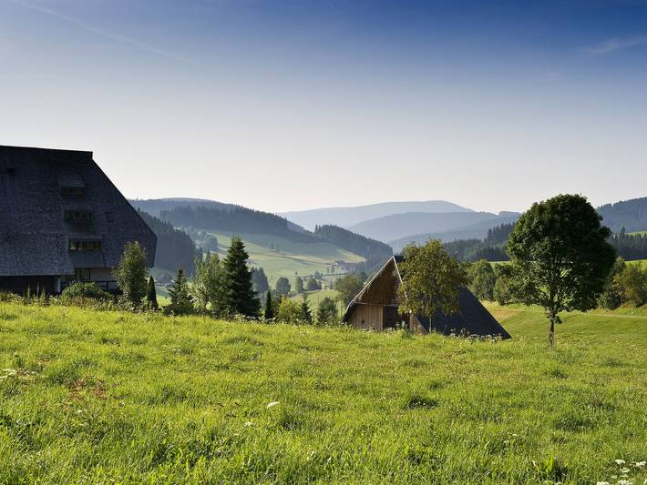Ferienhaus, mit Balkon/Terrasse und Terrasse sowie Garten in Titisee-Neustadt - 3