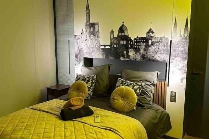 Appartement entier, Appartement fabuleux 100 m2 proche centre/Parking sécurisé/entièrement climatisé in Schiltigheim, Région de Strasbourg