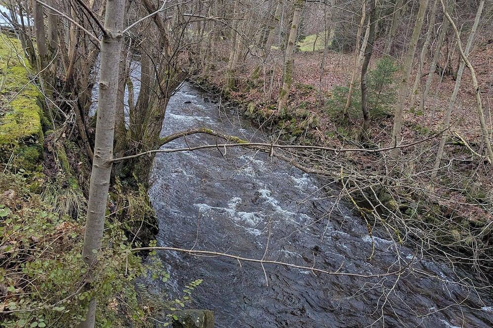 Ganze Wohnung, Kuschelige Ferienwohnung inmitten der Natur und Wanderpfade. Haustierfreundlich in Sieber, Herzberg am Harz