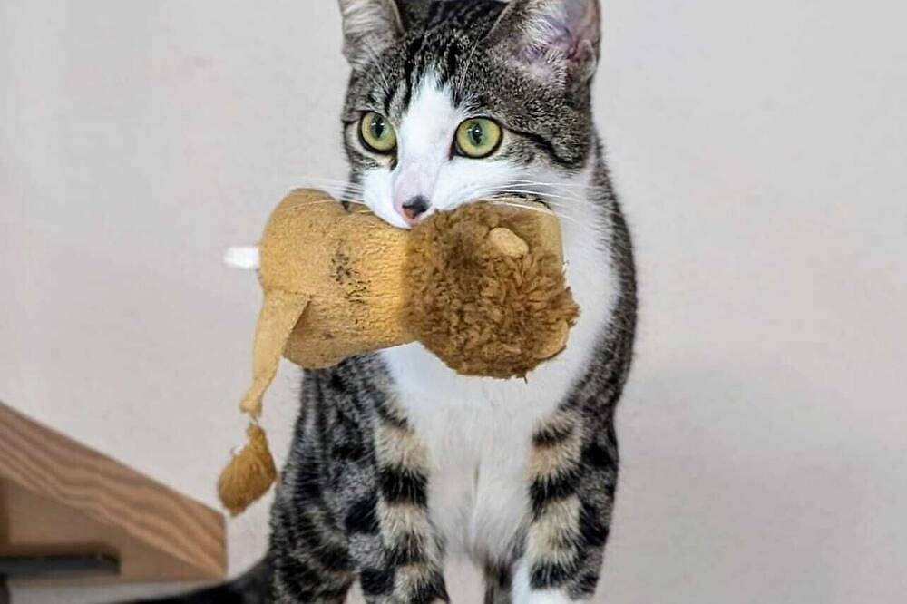 Apartamento entero, 6 Day Relaxing and Rejuvenating Yoga Retreat in Costa Tropical, Spain in Castell de Ferro, Gualchos