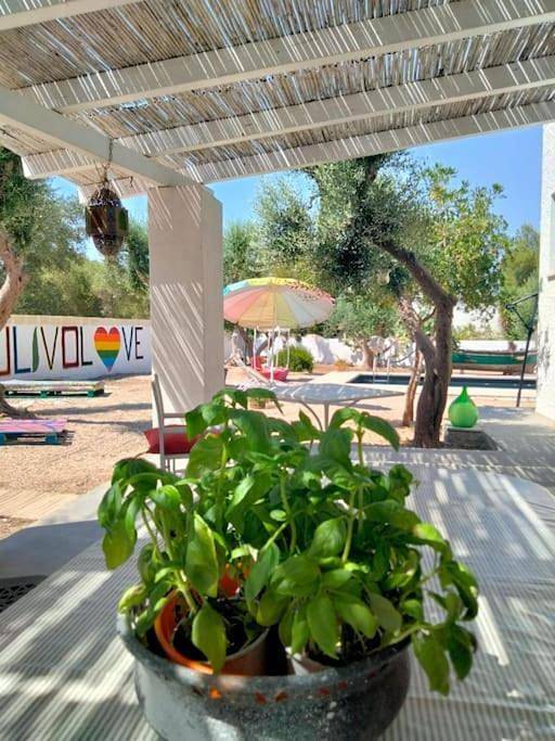 Luxury Country Villa Con Piscina Mare Bandiera Blu in Maruggio, Golfe de Tarente