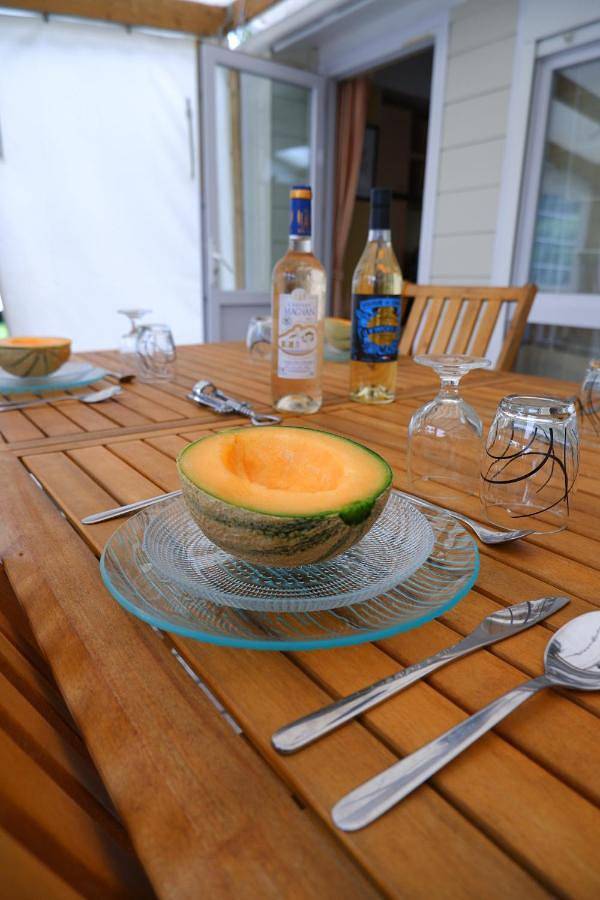 Location de vacances pour 6 personnes, avec terrasse et jardin, animaux acceptés à Semussac - 2