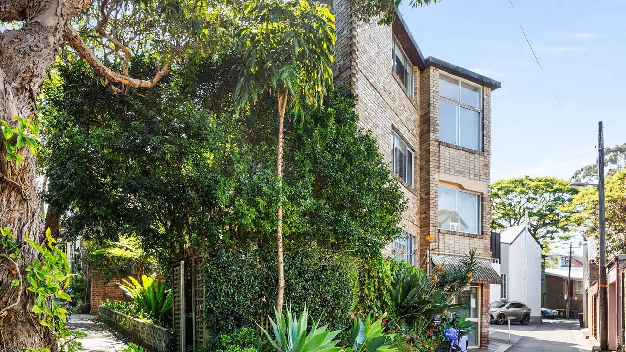 Entire studio, Studio for 3 people in Surry Hills, Sydney